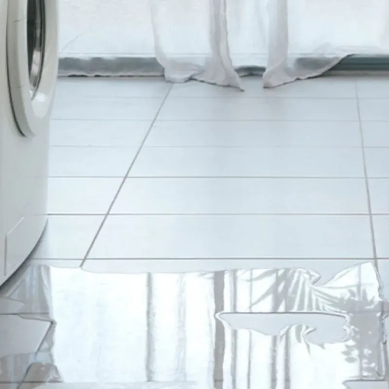 Appliance Leak Cleanup in Johnstonville, CA