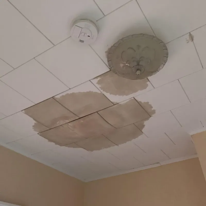 Ceiling Water Damage Repair in Johnstonville, CA